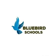 Bluebird Schools_222.jpeg Bluebird Schools_222.jpeg